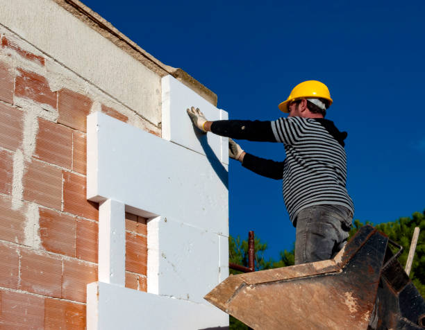 Best Insulation for New Construction  in Salina, KS